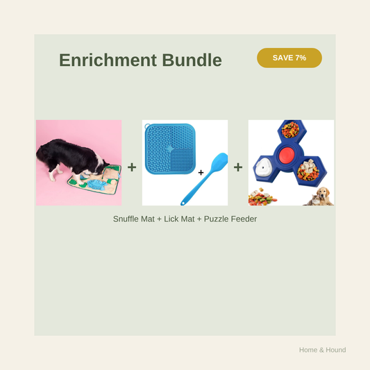 Golden Years Enrichment Bundle cover