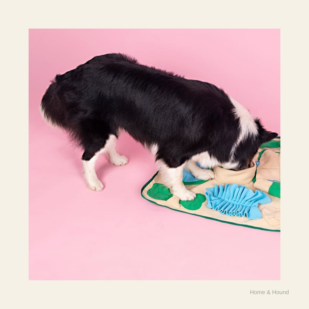 Golden Years Snuffle Mat - square lifestyle photo with Home & Hound watermark