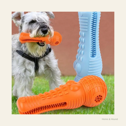 Golden Years Dental Chew Toy cover