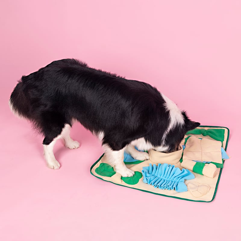 Golden Years Snuffle Mat - Classic Nosework style